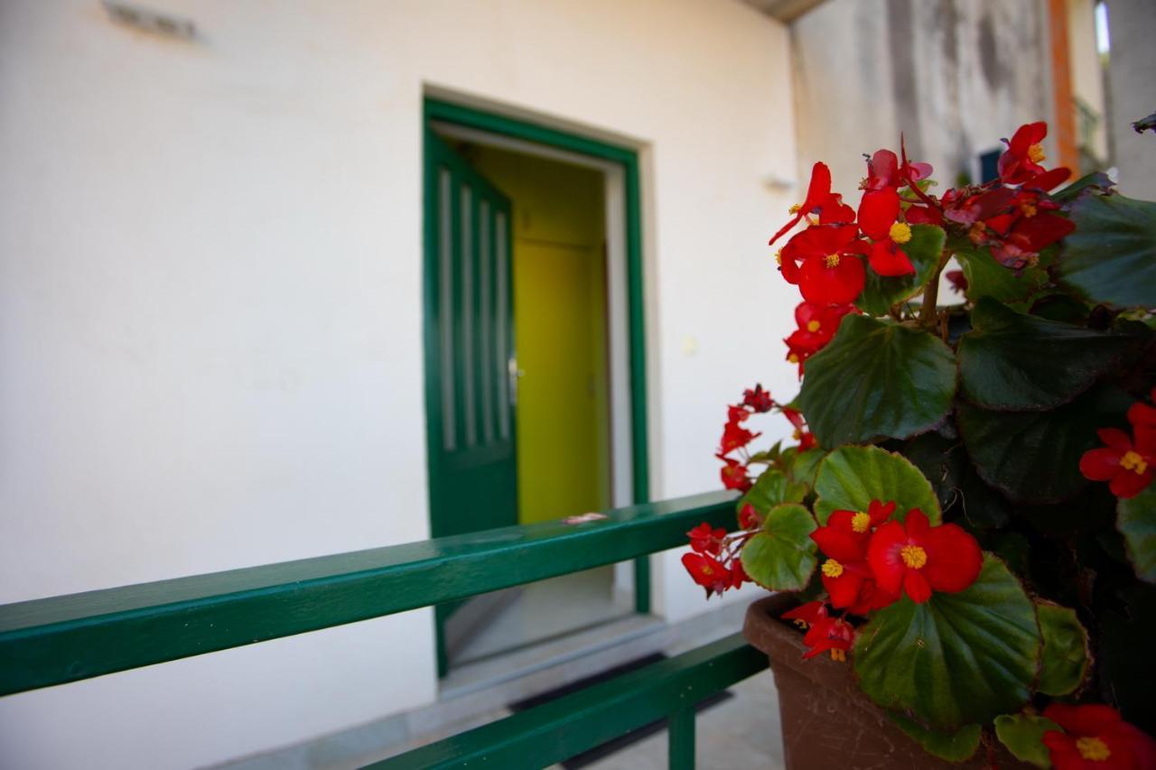 Apartment Nola Podgora Kamer foto